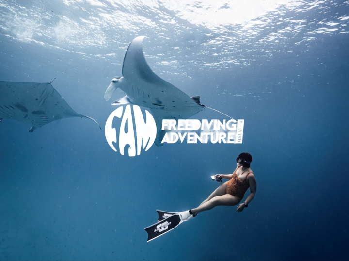 Freediving Adventure Malaysia