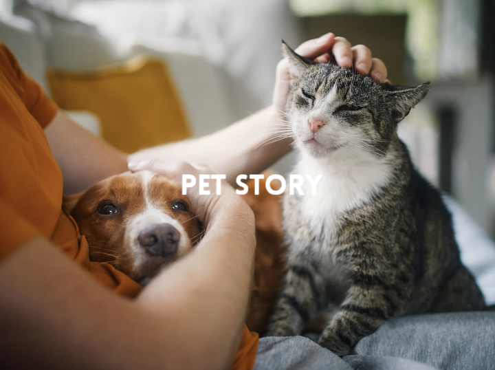 Pet Story